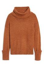 Load image into Gallery viewer, NWTTREASURE &amp; BOND Turtleneck Sweater In
